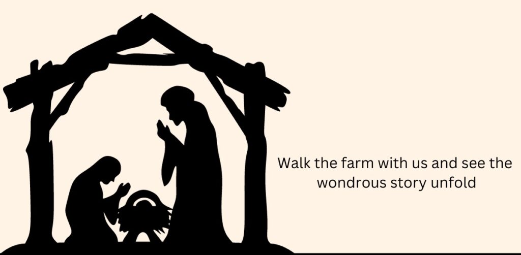 Depden Living Nativity 2024 icon