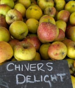 Chiver's Delight our favourite apple