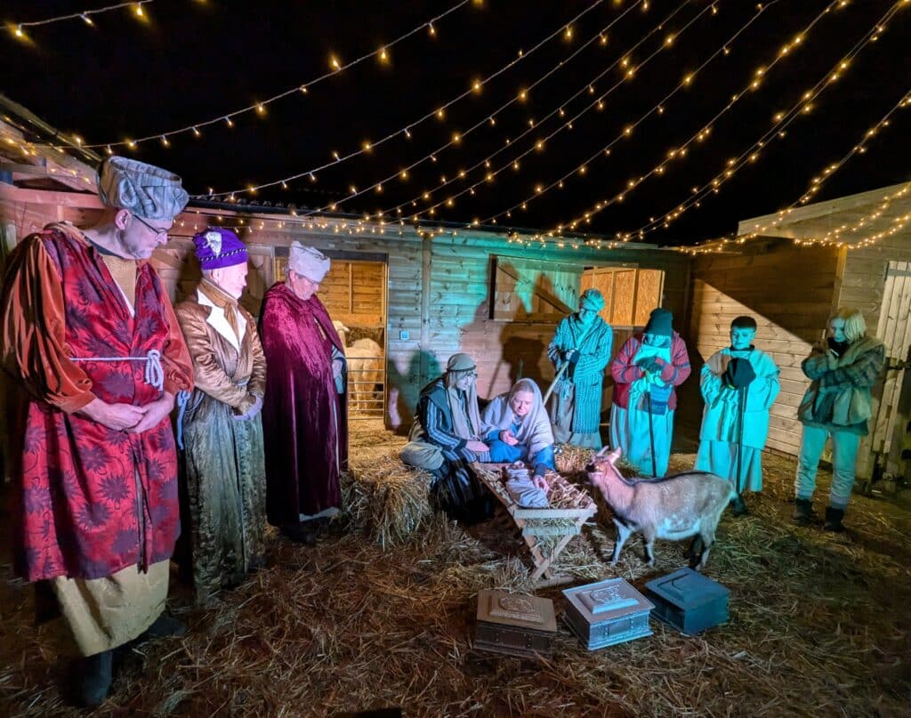 Nativity scene at Depden Care Farm