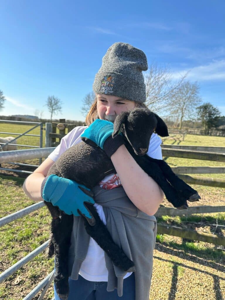 Jade cuddles one of the lambs