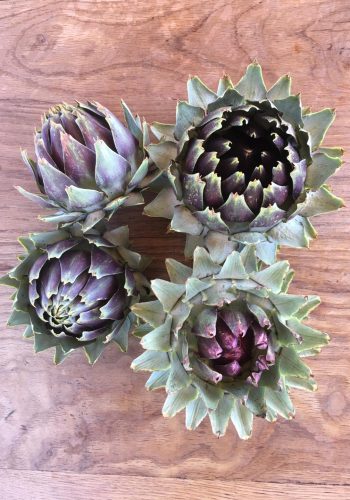 artichokes grown at the farm