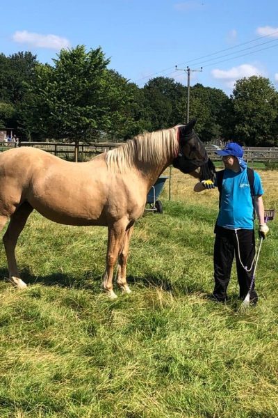 farm helper in the field with horse, athena