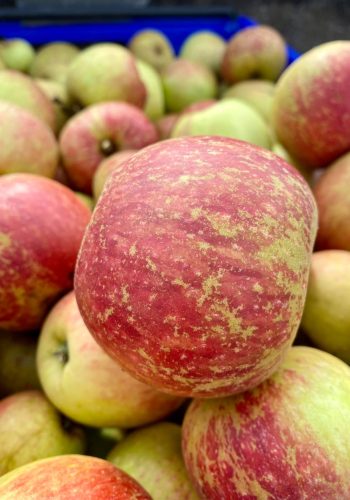 close up image of an apple