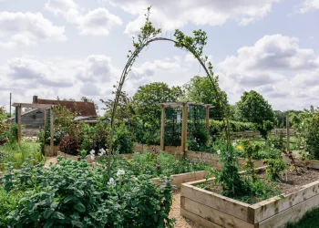 flower beds and flower arch at the farm