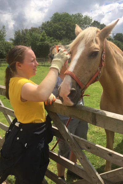 farm helper grooming horse