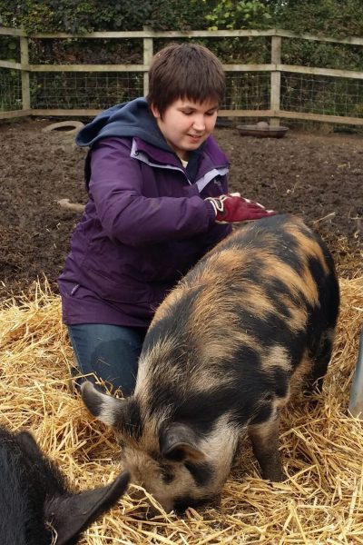 kunekune-scaled-1