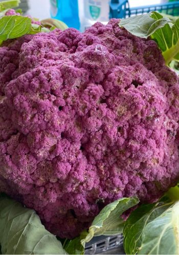 close up image of produce grown on the farm