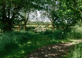bench within the woods at the farm and a pathway