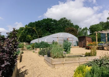 flowerbeds and polytunnel at the farm