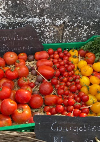 basket full of different types of tomatoes